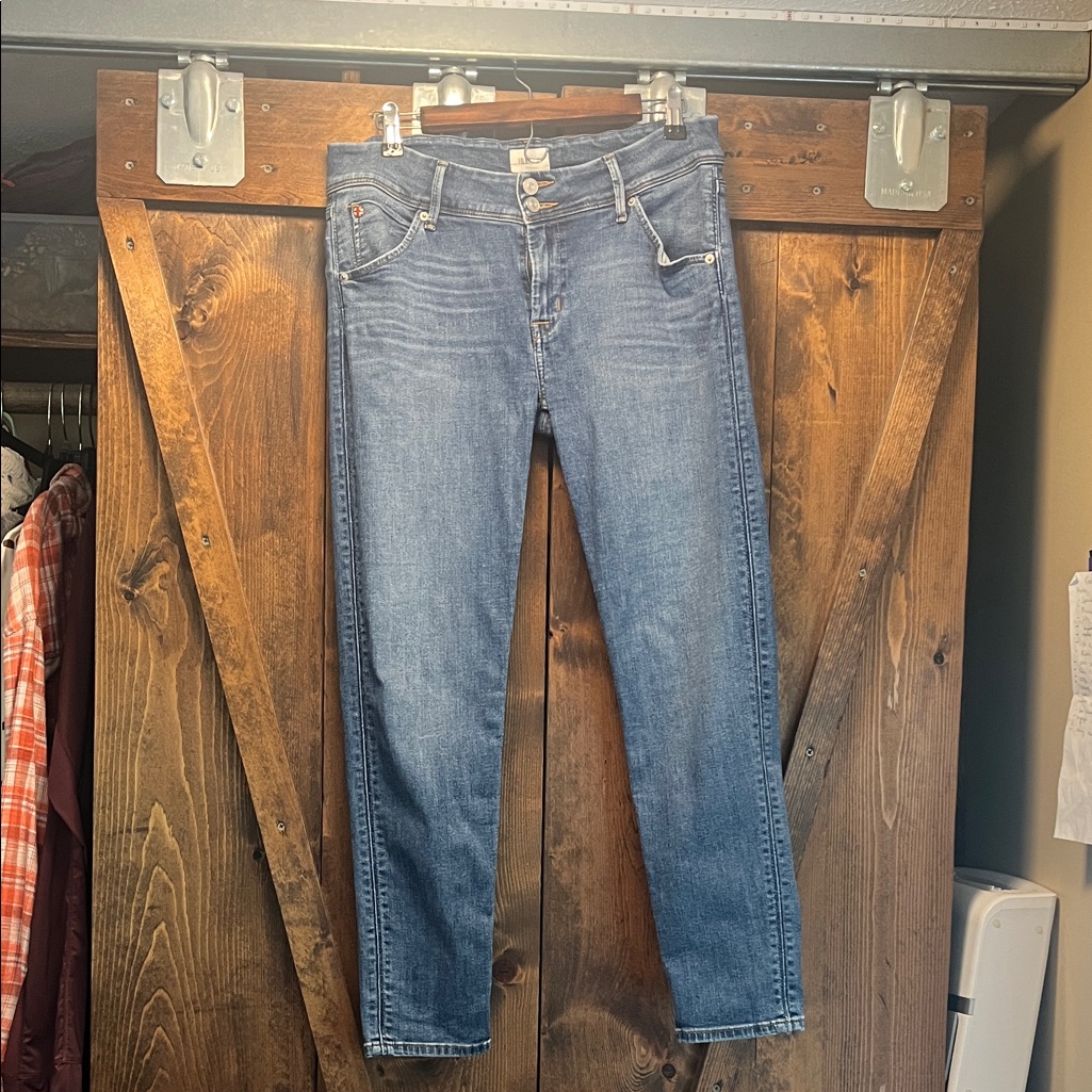 Hudson Jeans Women's Skinny Blue Denim